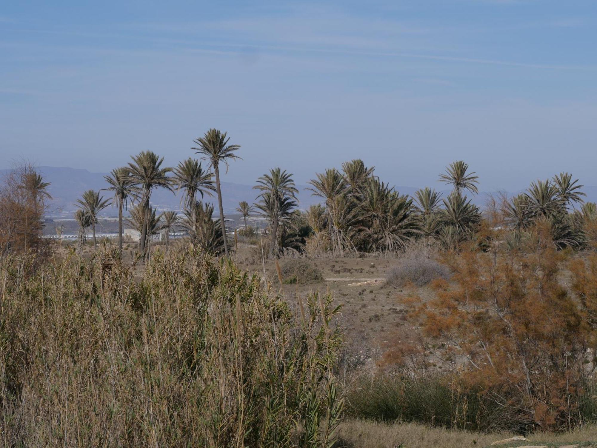 Precioso Apartamento En Cabo De Gata מראה חיצוני תמונה